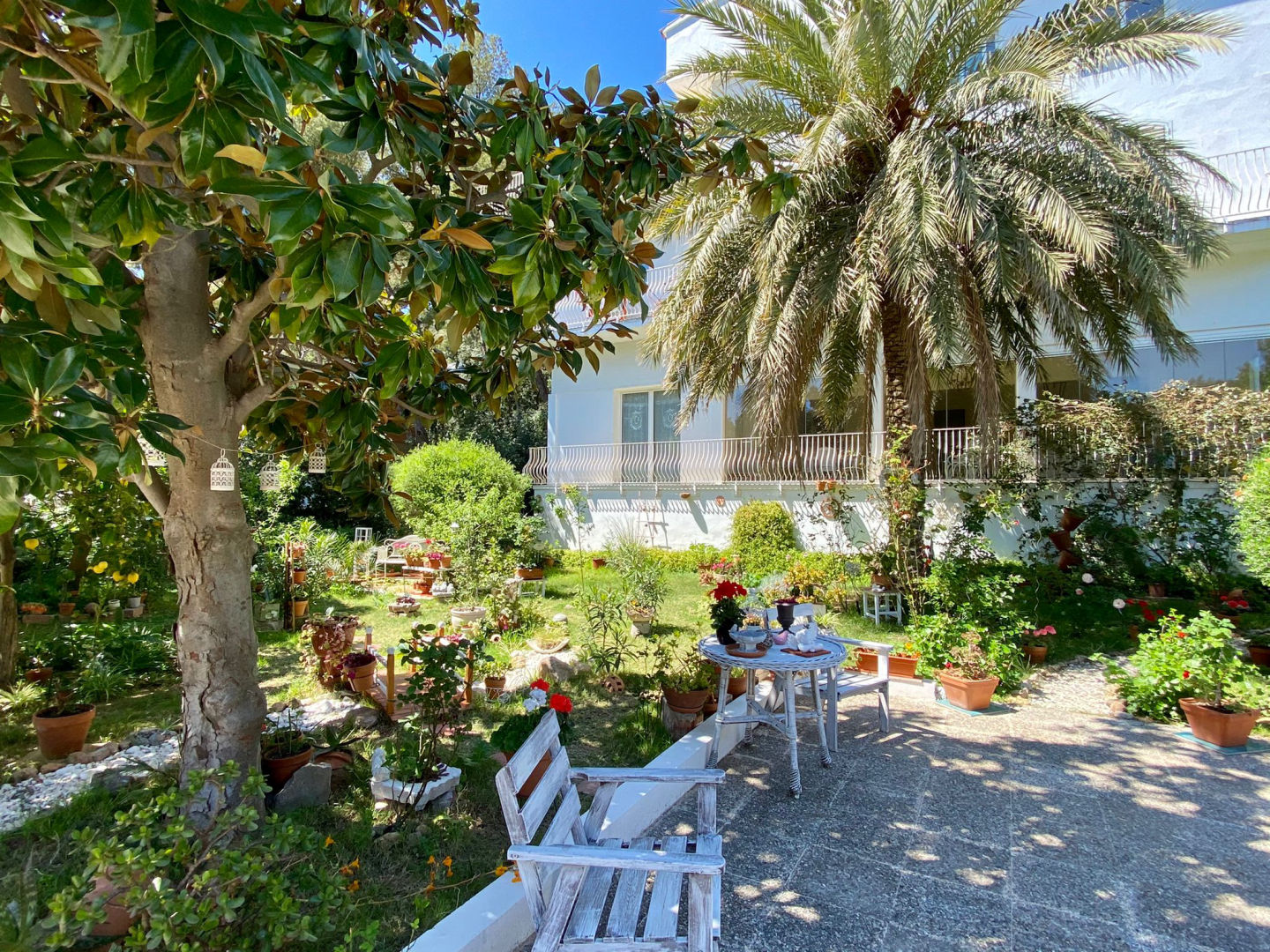 Jardin de Alisa - 4