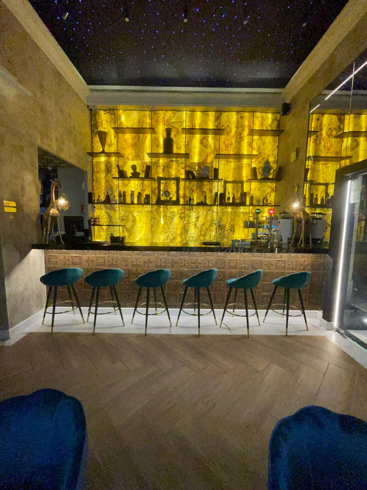 Salón de Gala - 1