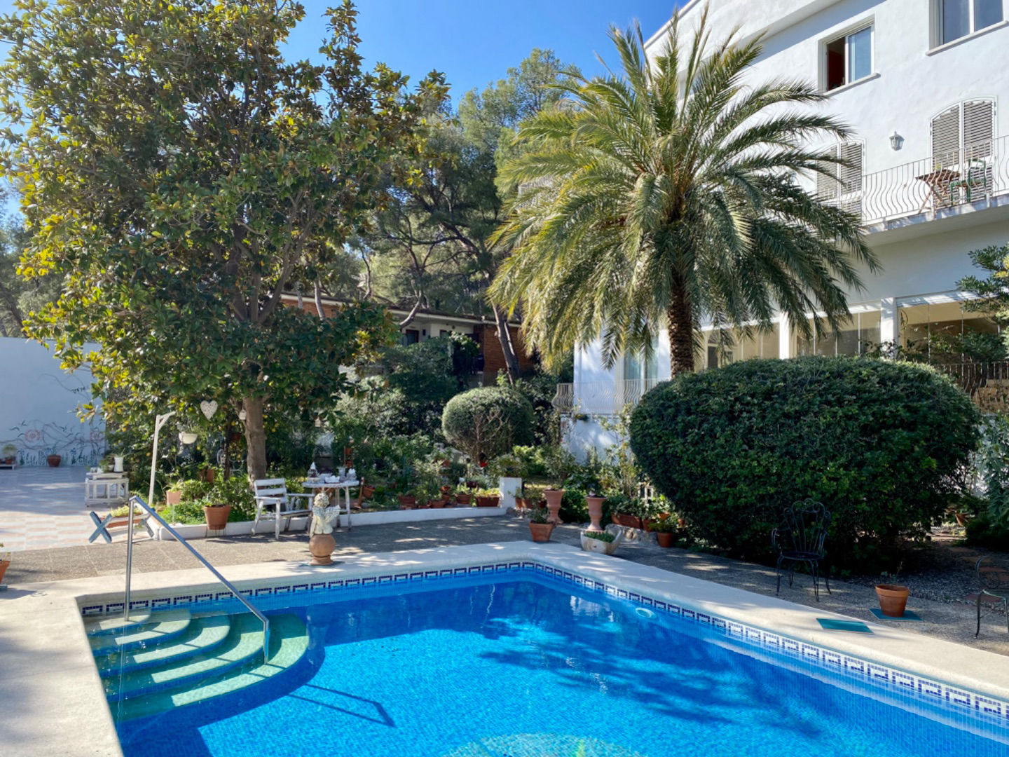 Jardin de Alisa - 2