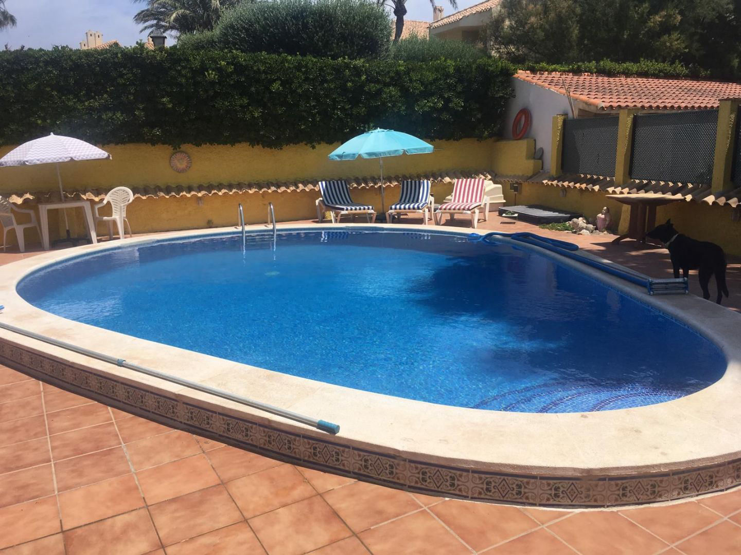 Oasis Bani - 4