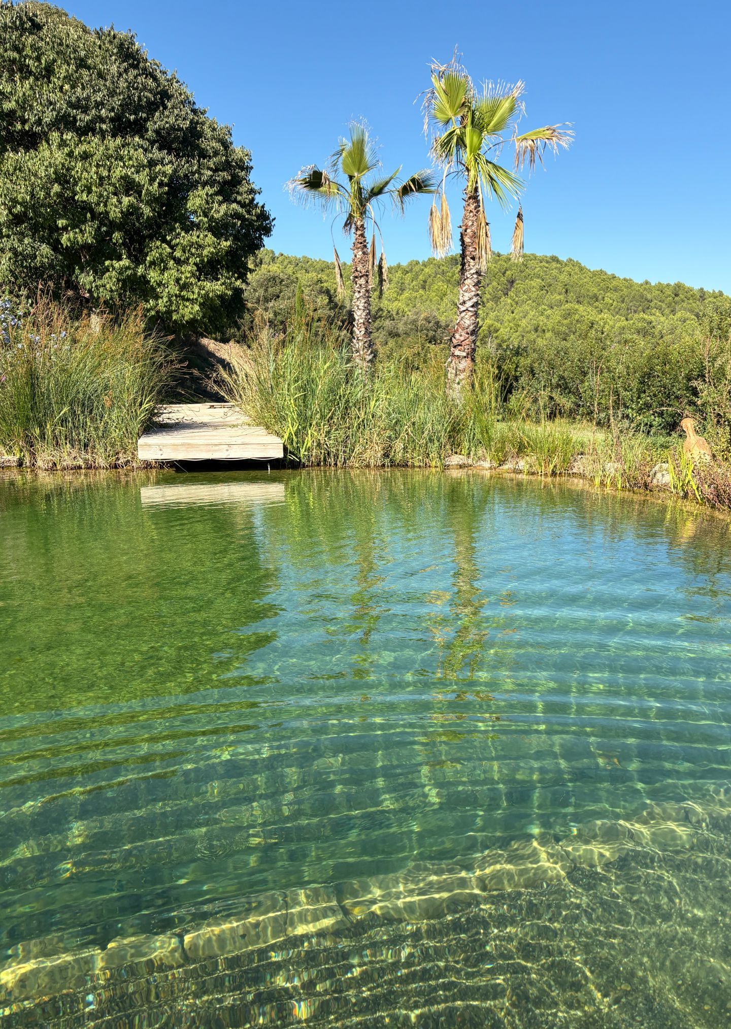 Masía del siglo XVI con piscina natural en Fonollosa en Fonollosa: espacio para eventos, foto 2