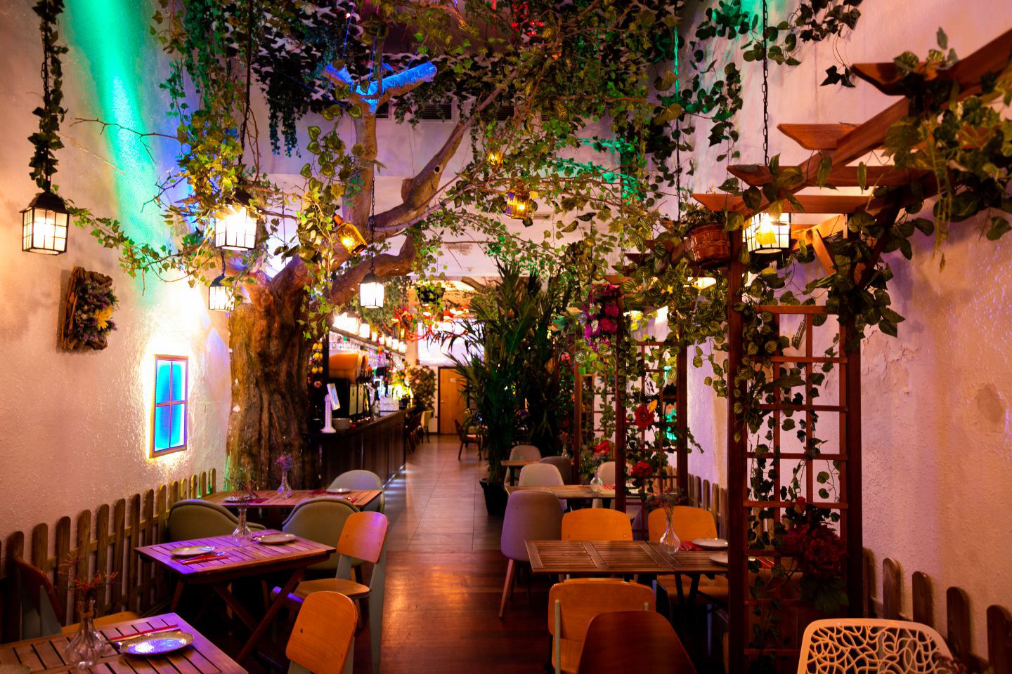 Espacio Verde - 4
