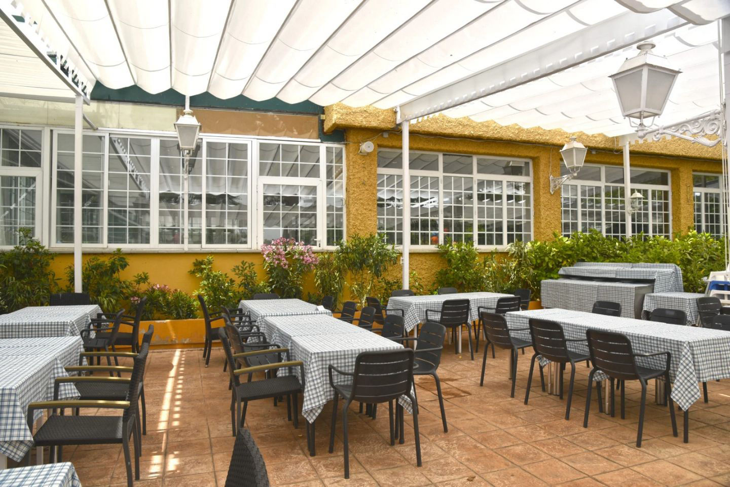 Terraza Lateral - 3