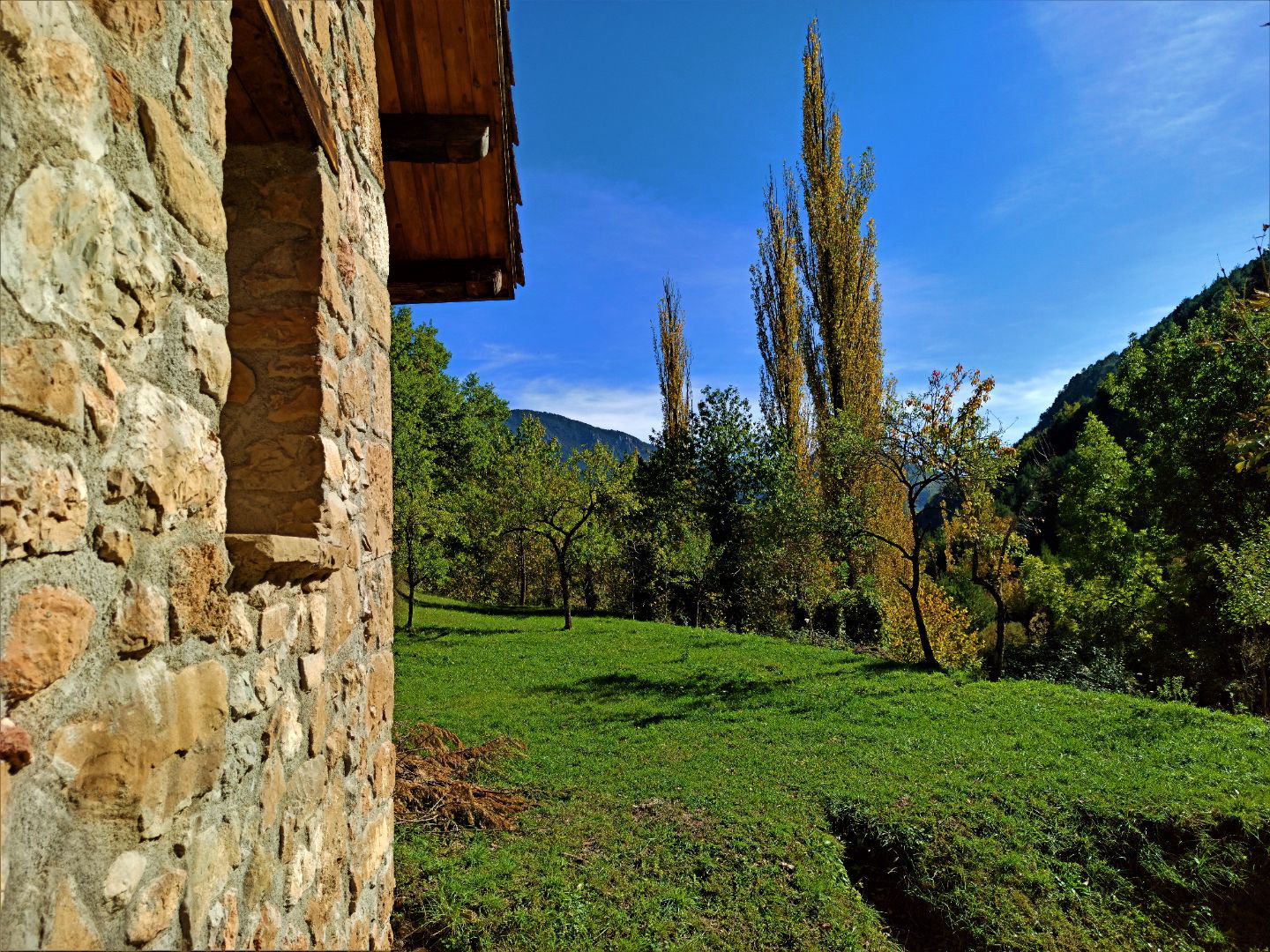 El Molí de Dalt - 2