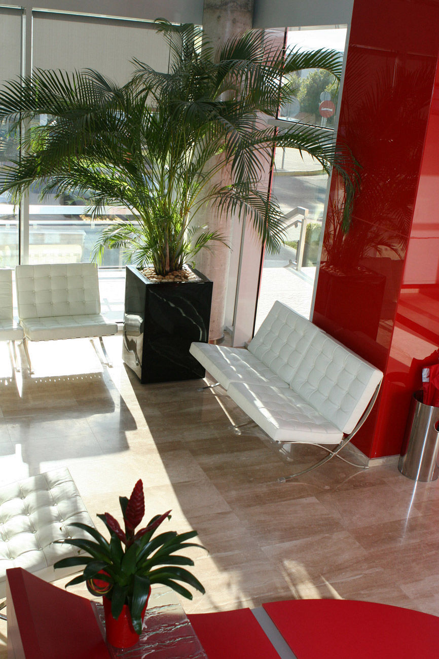 Área Ejecutiva - 4