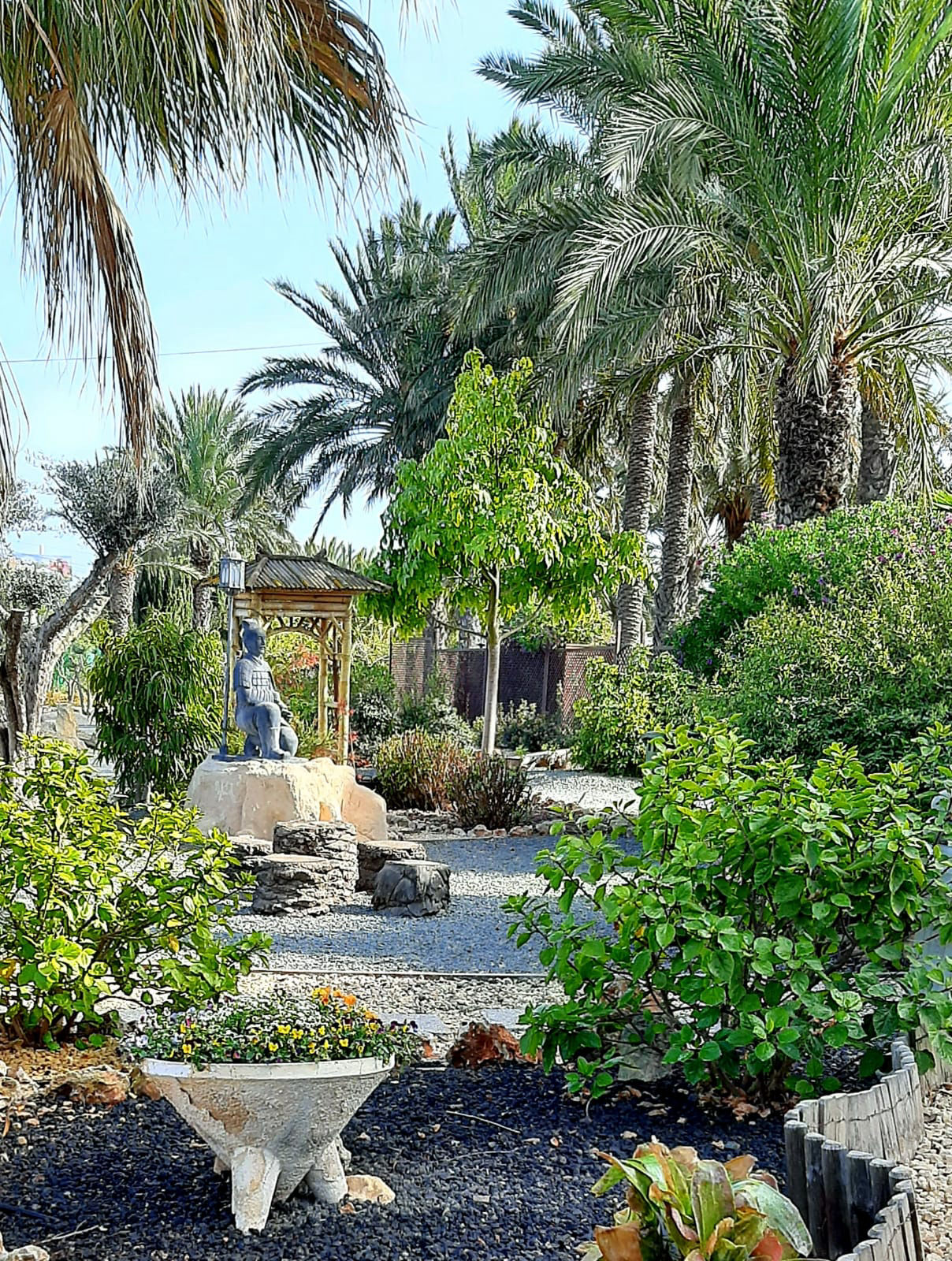 Buda tropical zen - 4