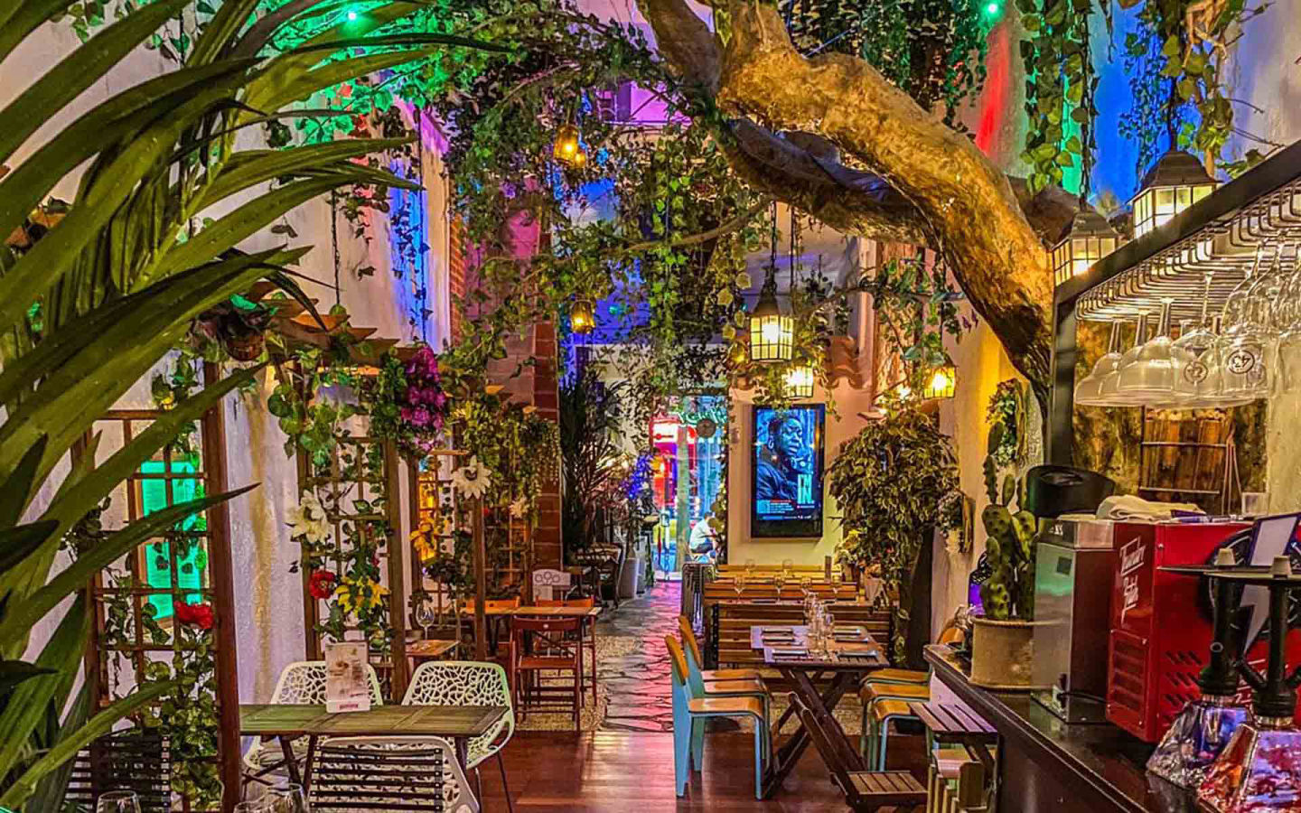 Espacio Verde - 2