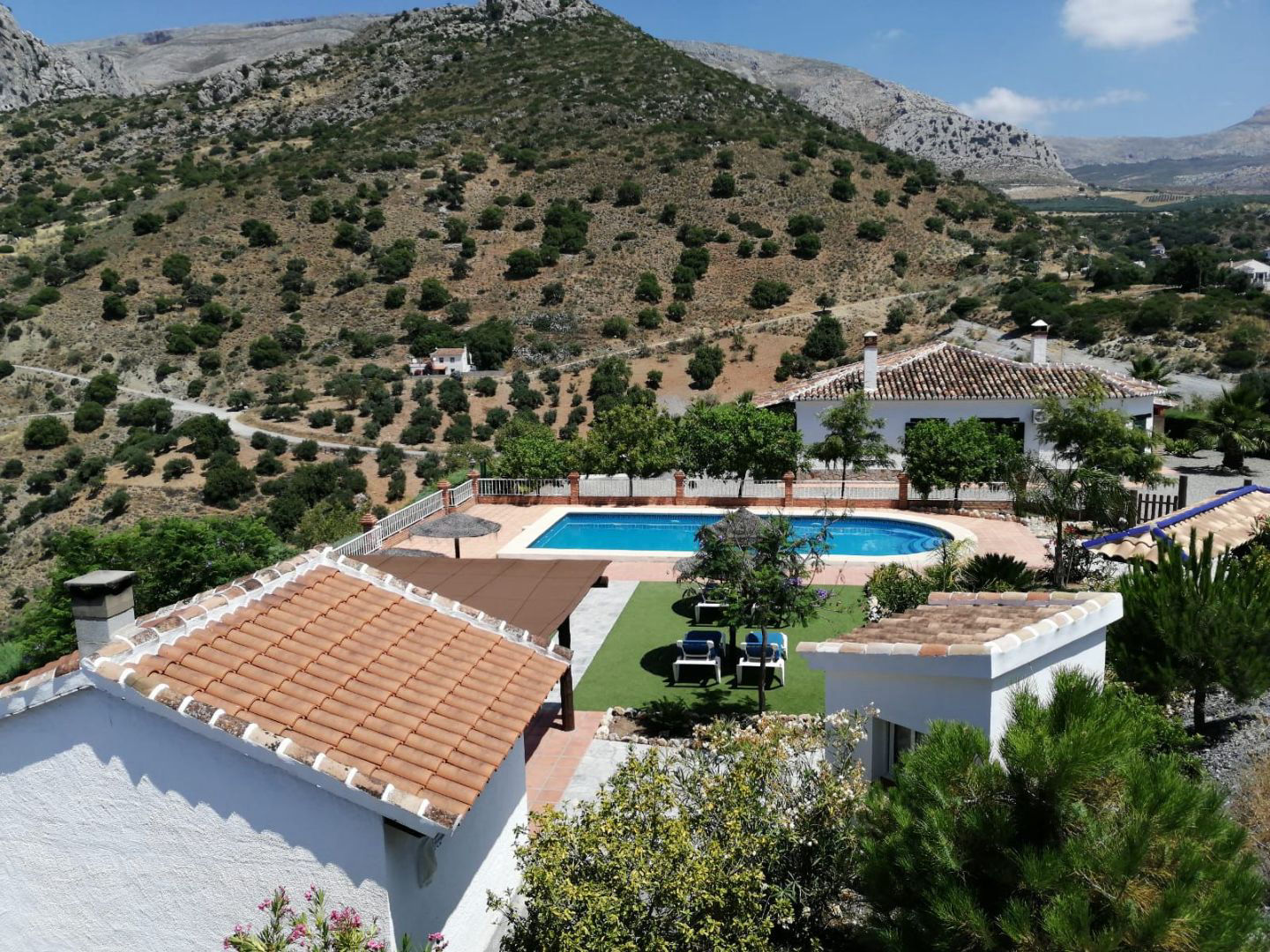 La Terraza de Benny - 1