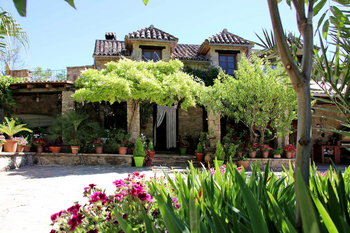 Molino Rodete - 1
