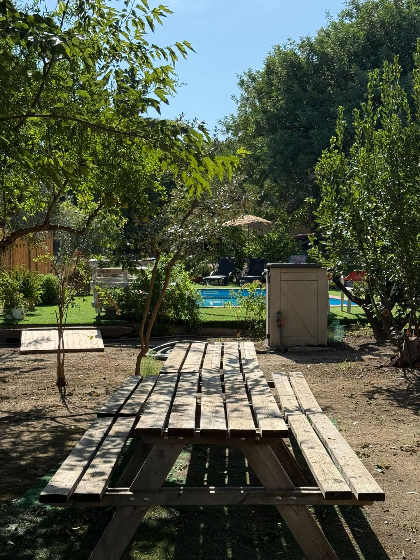 Finca el Olivar - 2