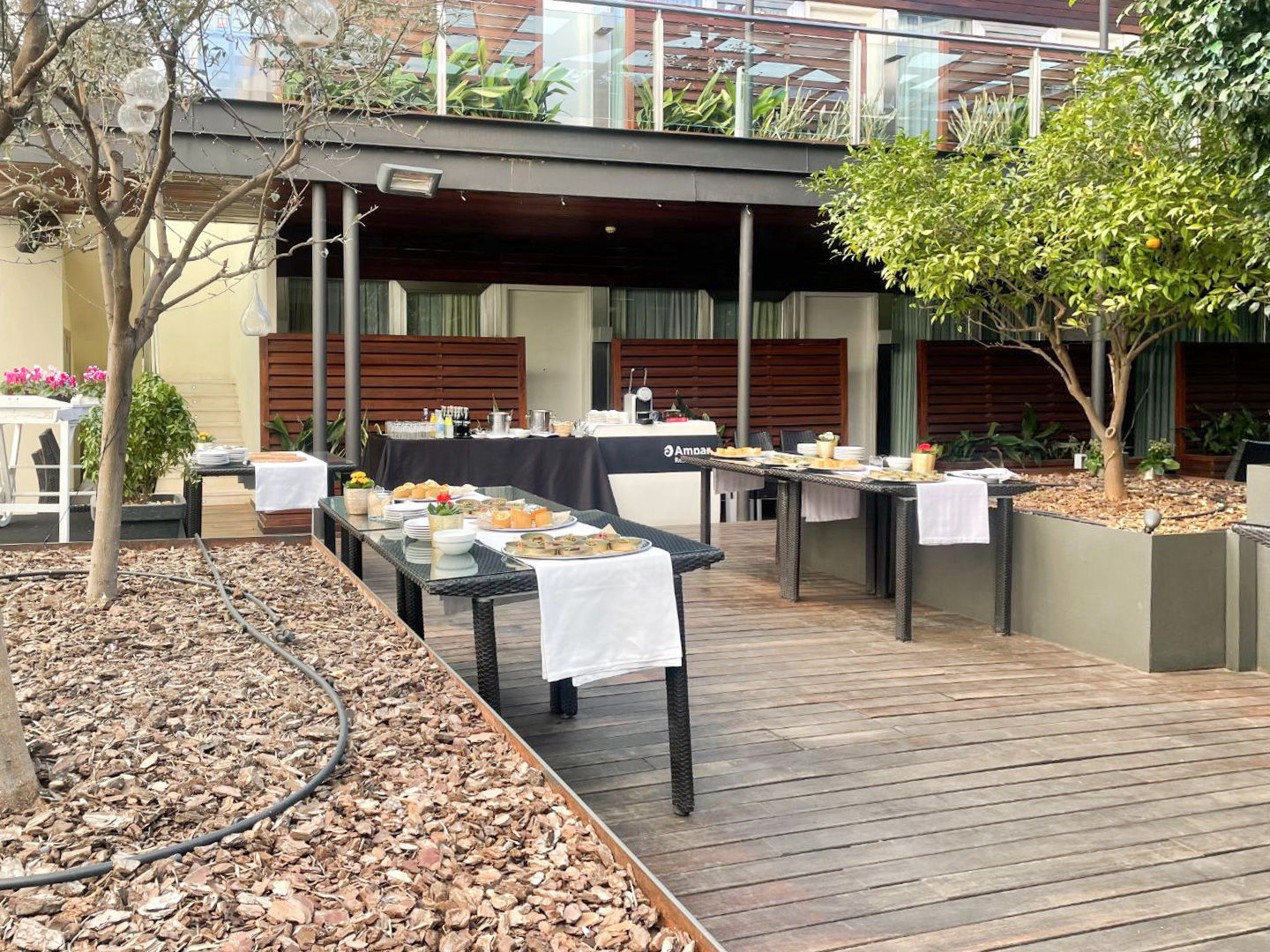 Terraza Jardín - 3