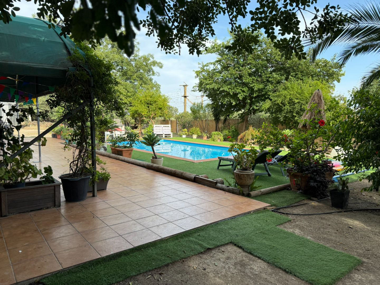 Finca el Olivar - 1