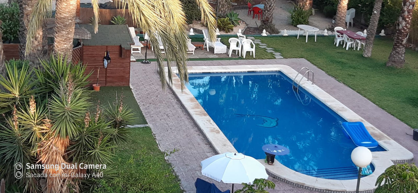 Buda tropical zen in Elche: space for events, photo 2
