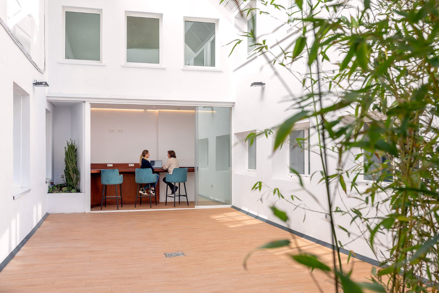 Sala Lisanthius - 1