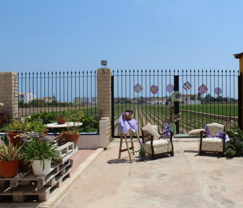 Terraza de la Huerta - 2