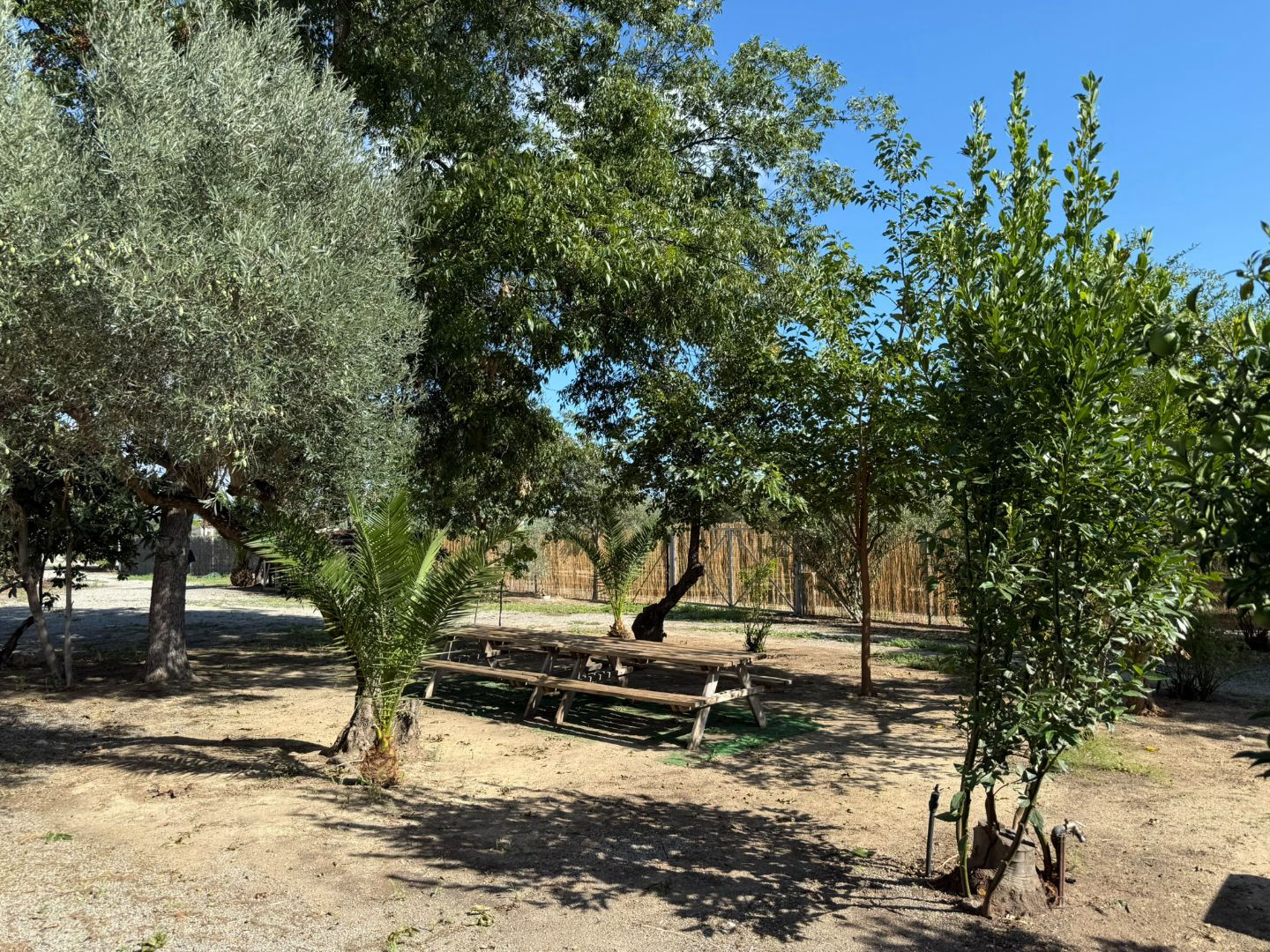Finca el Olivar - 4