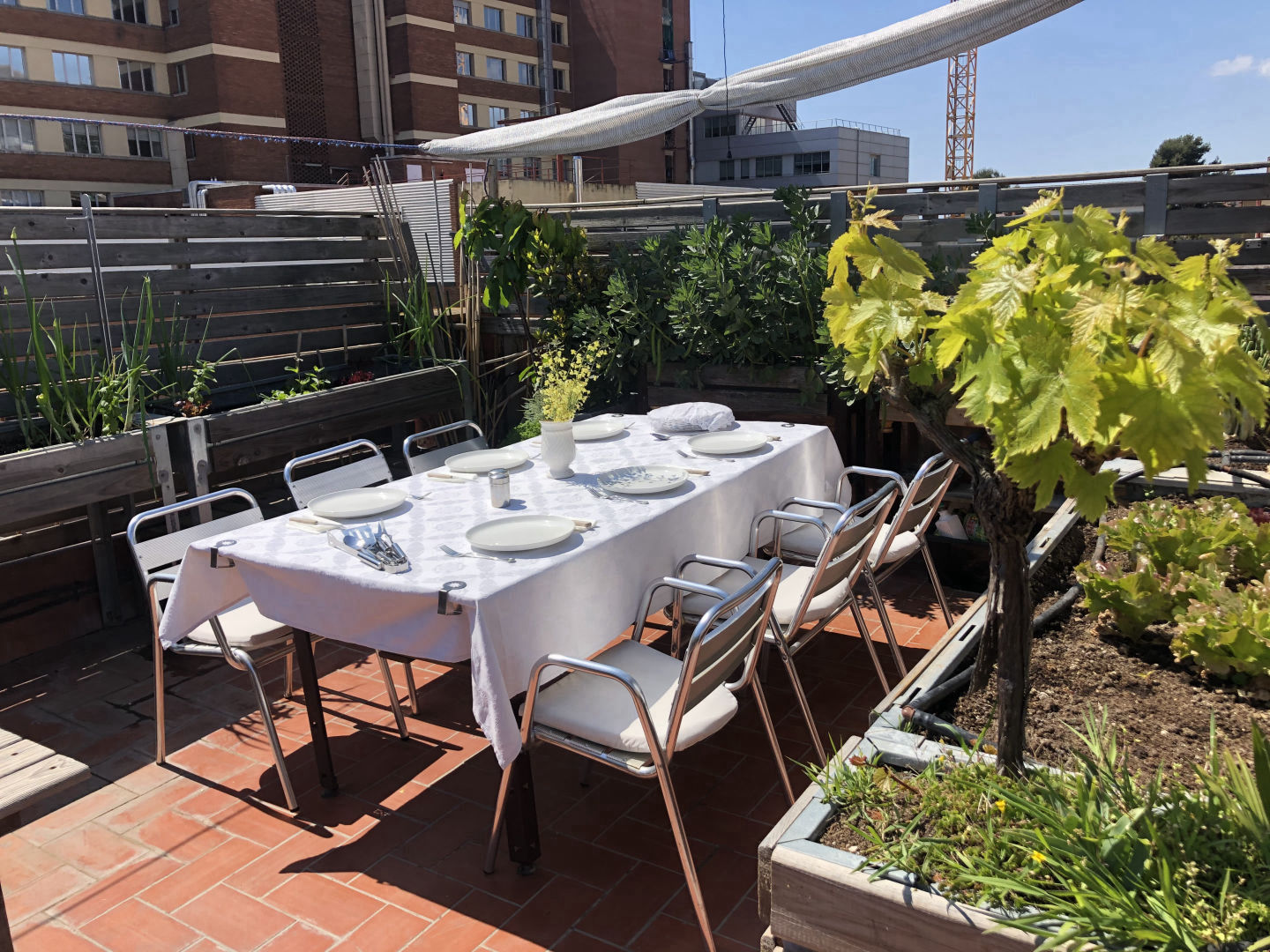 Finestrellas en la Azotea in Barcelona: space for events, photo 2