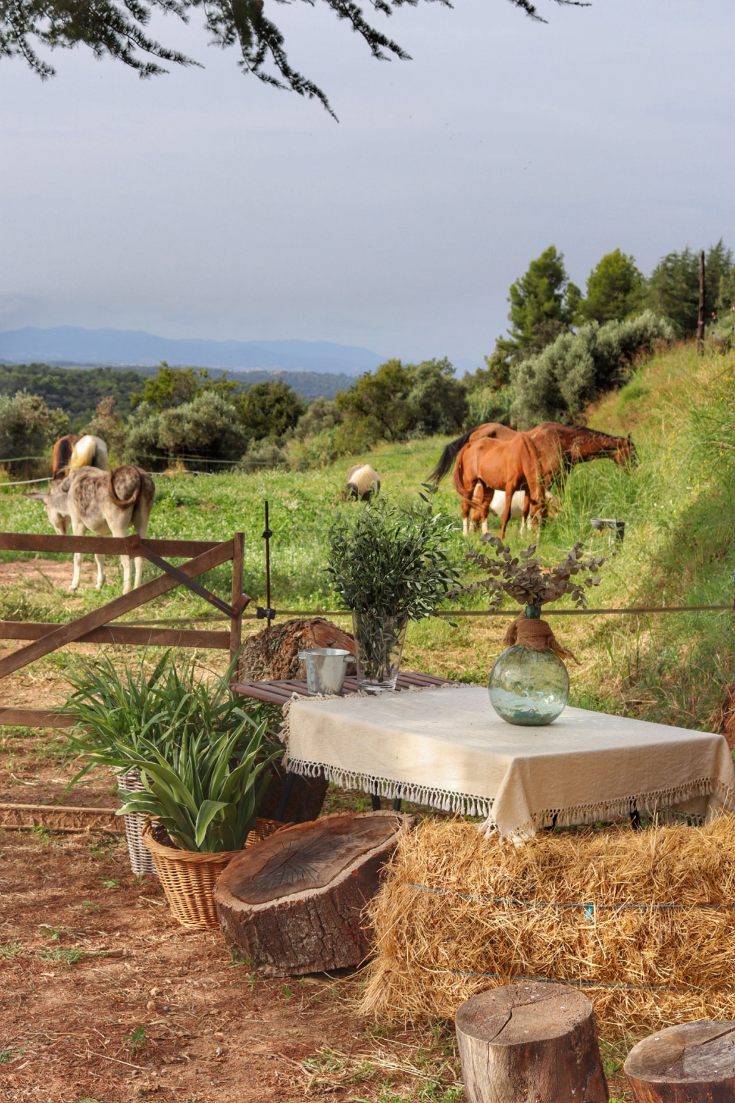 Finca Equinova Eventos - 1