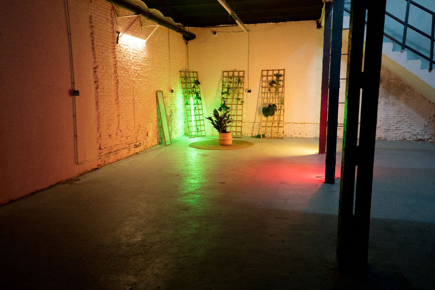 Estudio Sintonía - 3