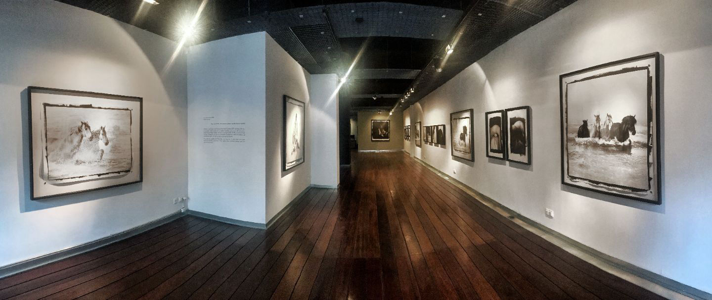 Galería de arte - 4