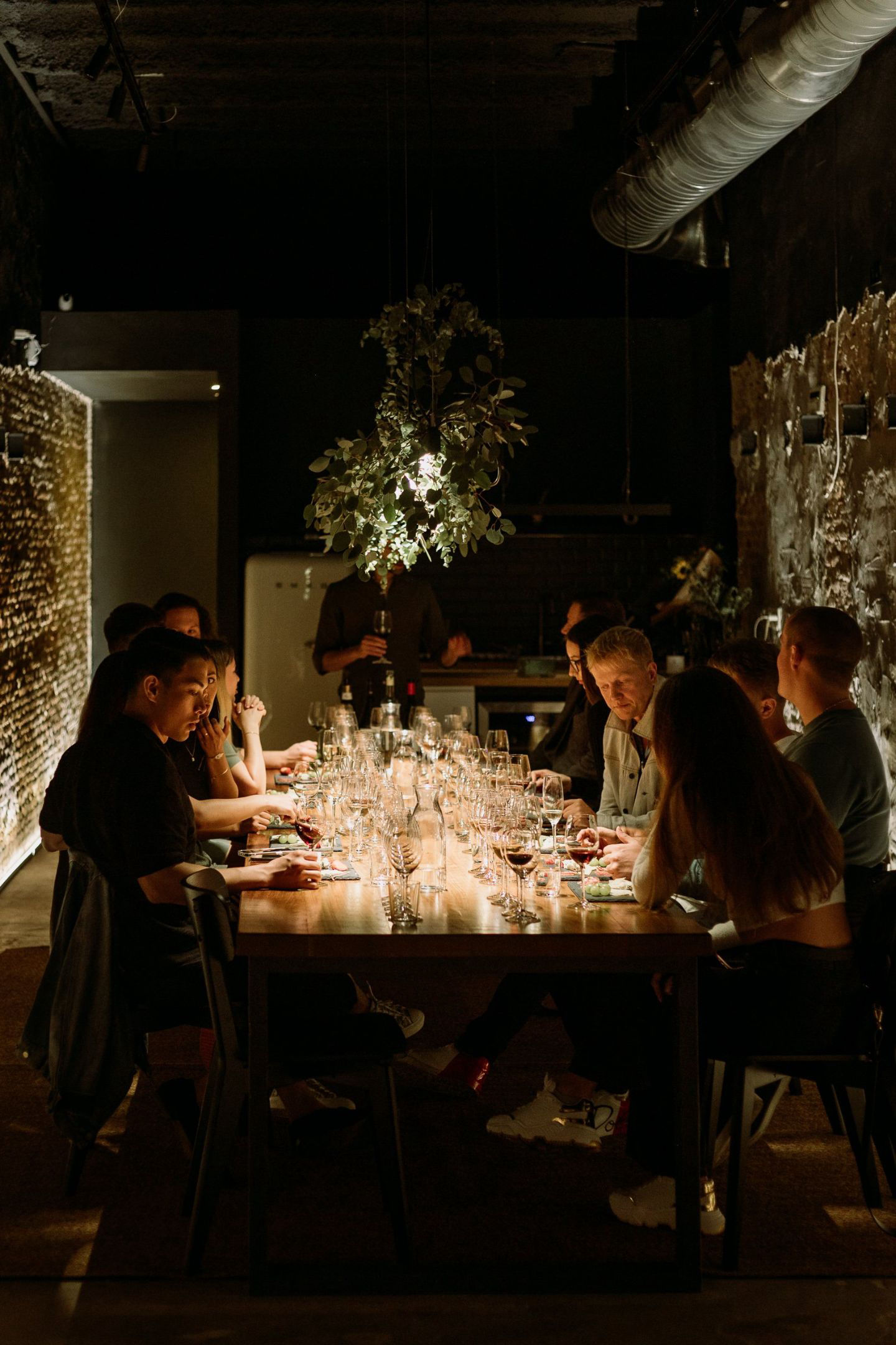Estudio del Vino - 4