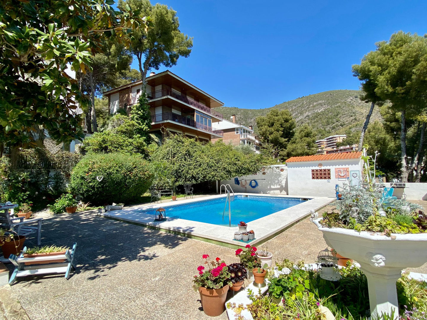 Jardin de Alisa - 3