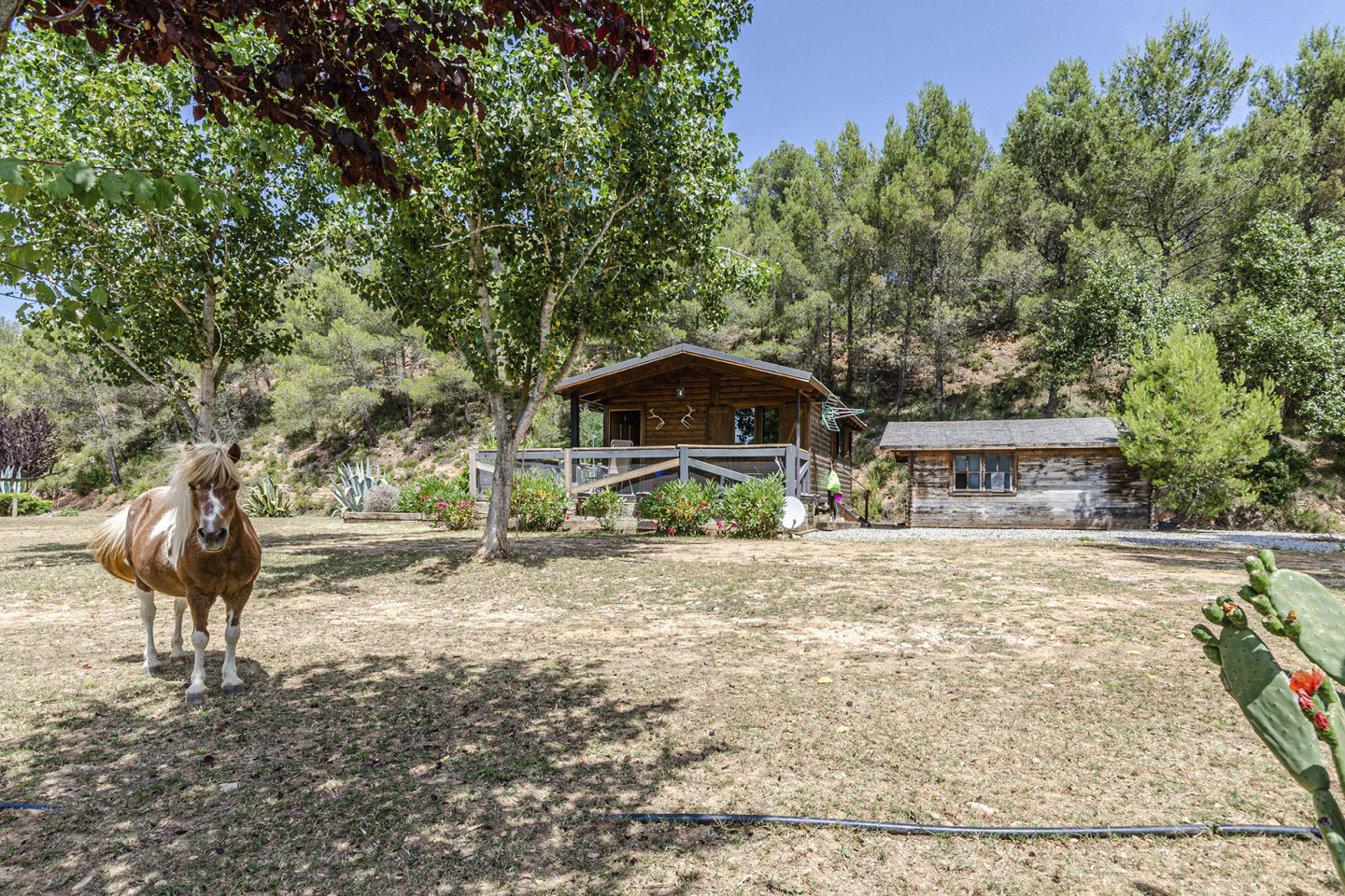 Masía Rural para Barbacoas - 4