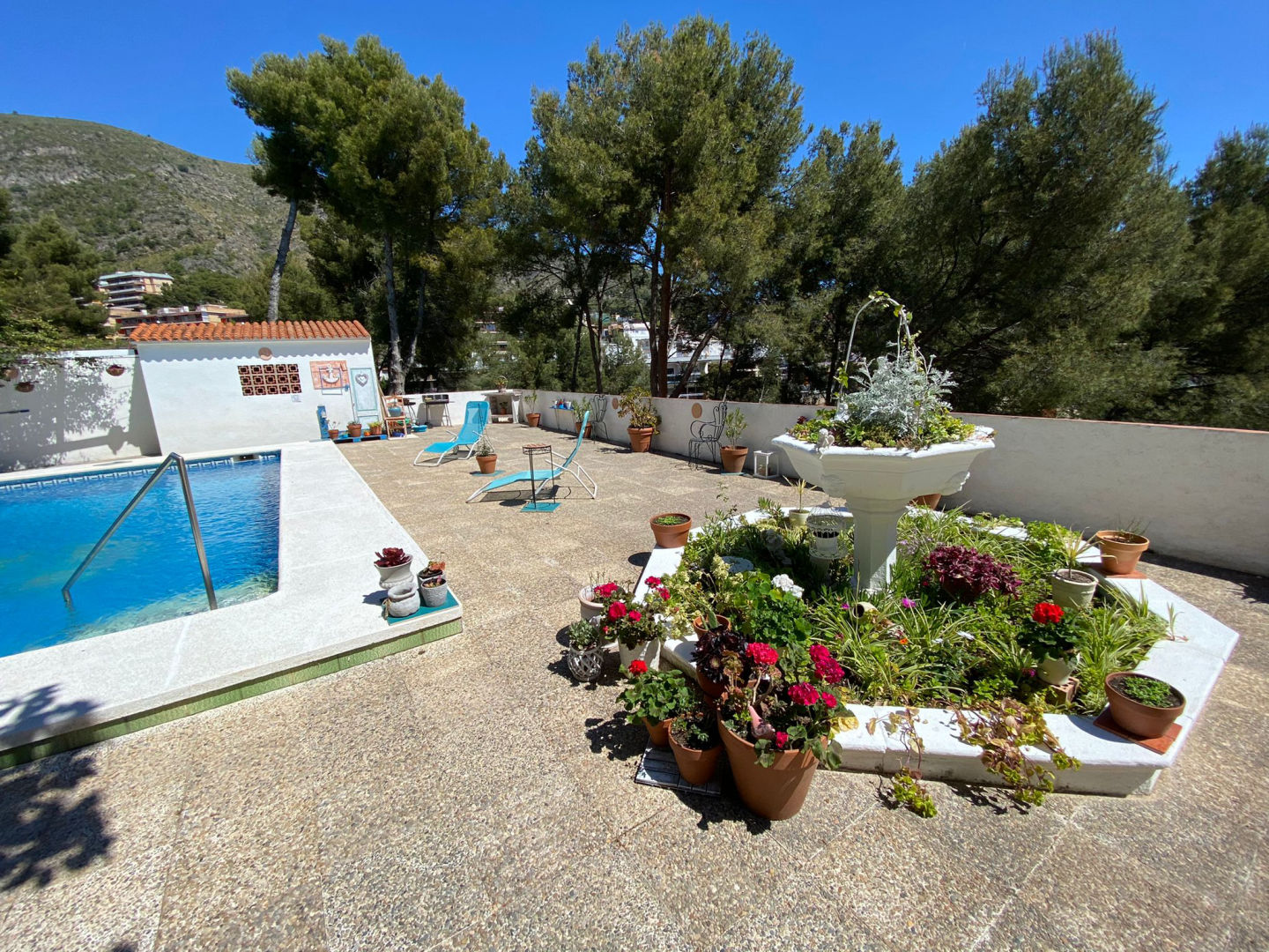 Jardin de Alisa en Barcelona: espacio para eventos, foto 4