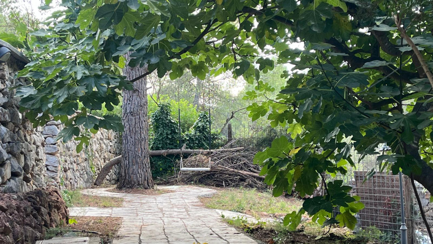 Jardin Bosque Barcelona - 4
