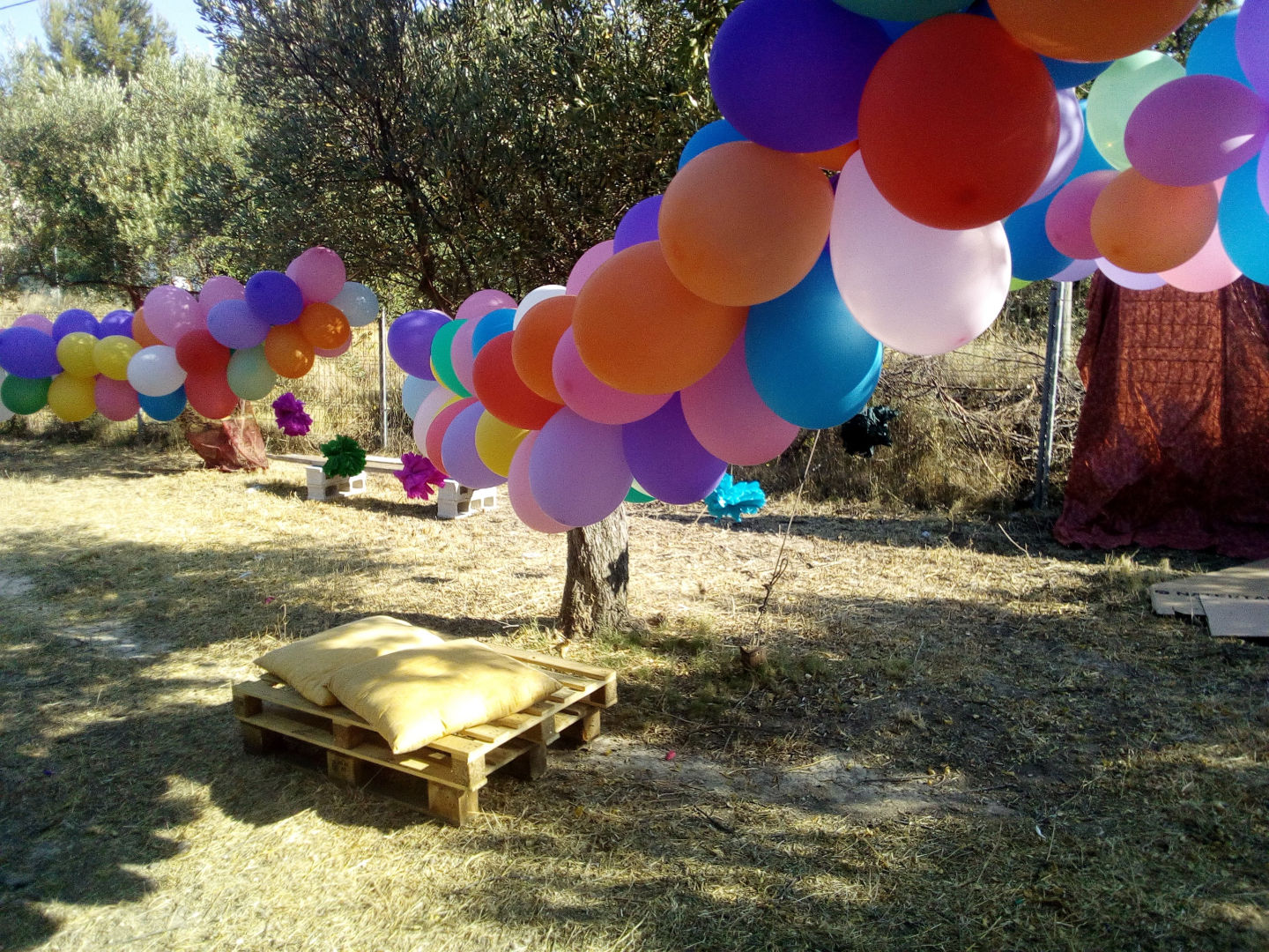 Campe - 4