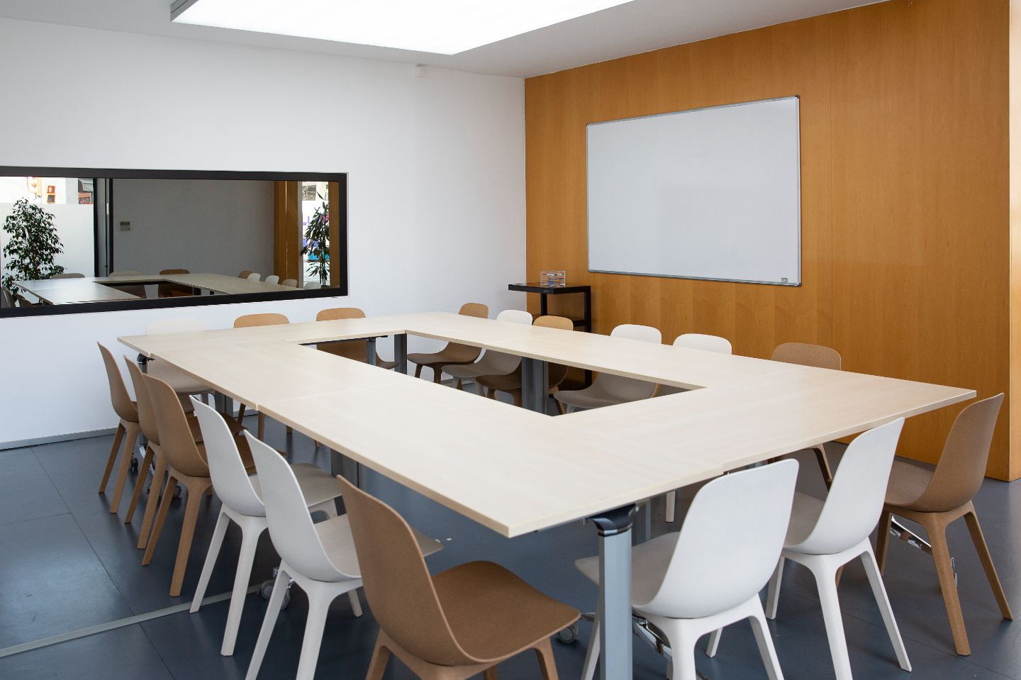 Sala Focus - 1