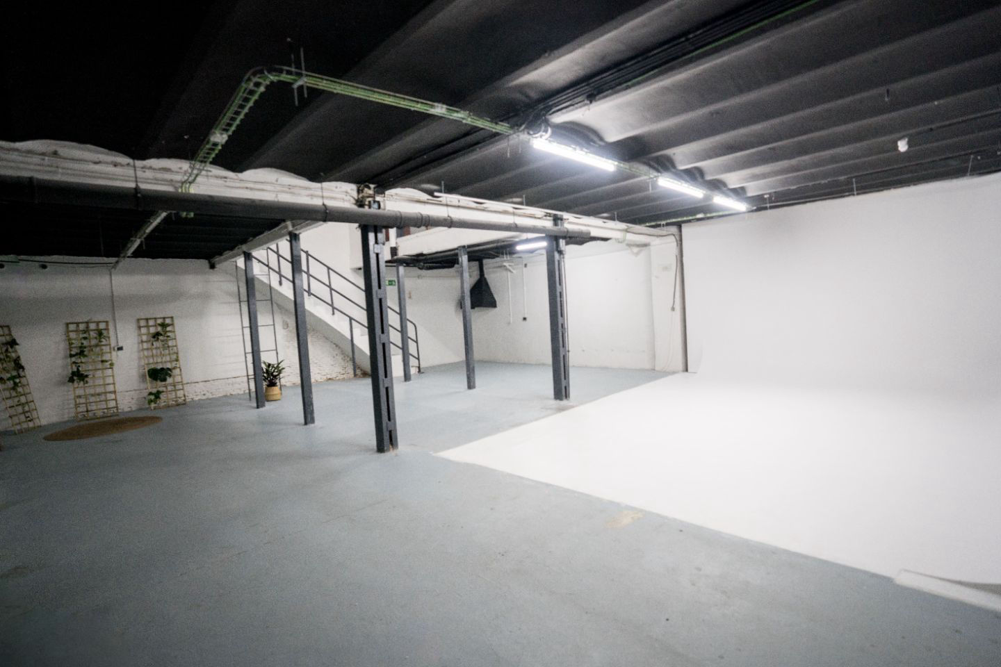 Estudio Sintonía - 2