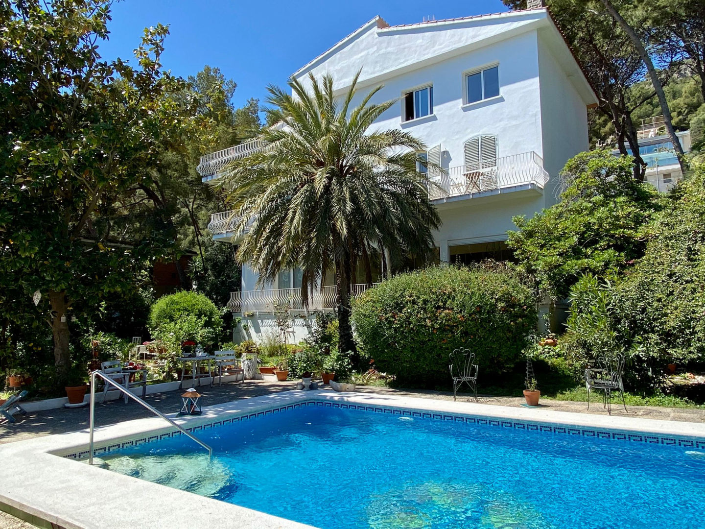 Jardin de Alisa - 1