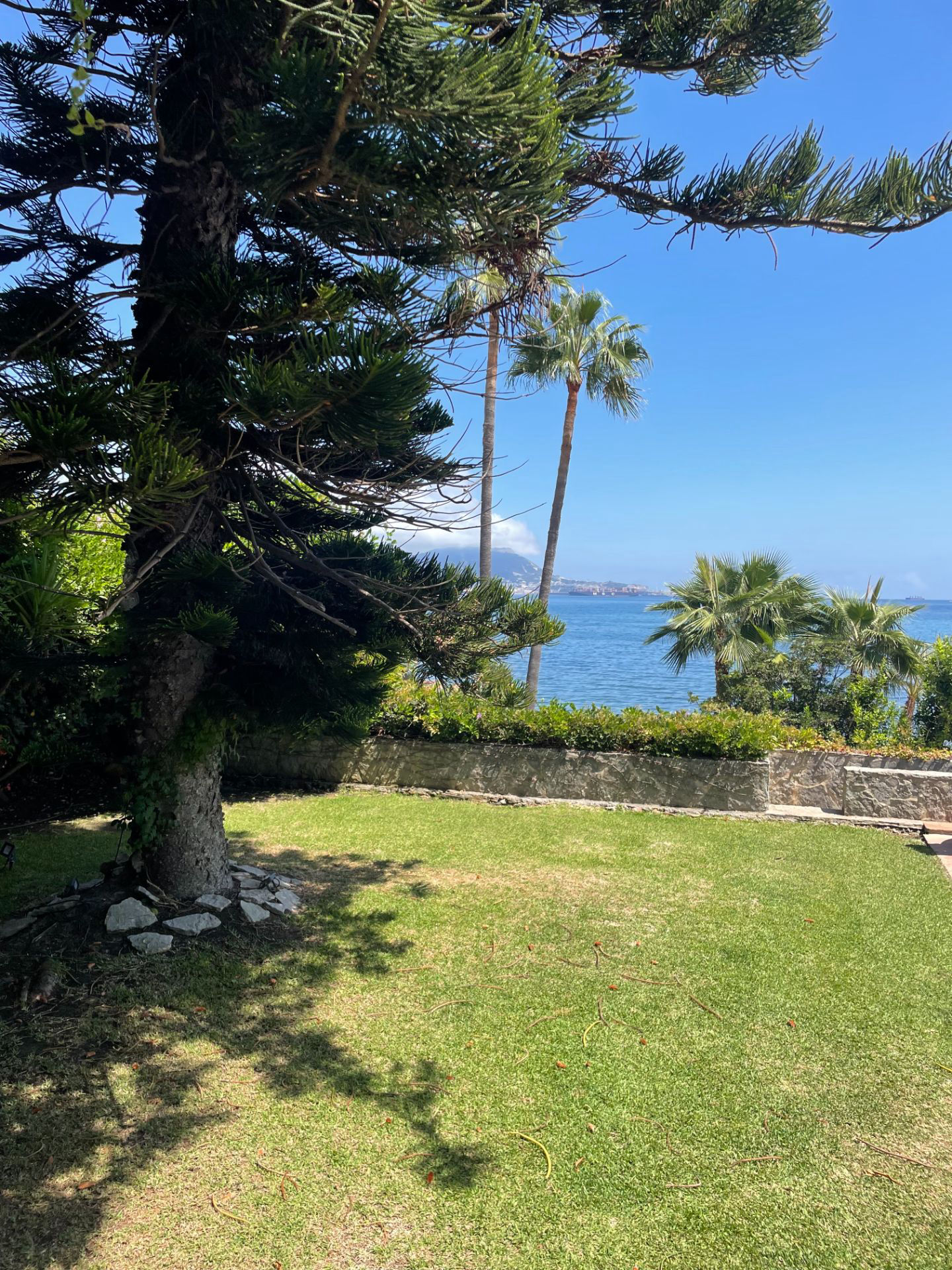 Punta Palmera - 4