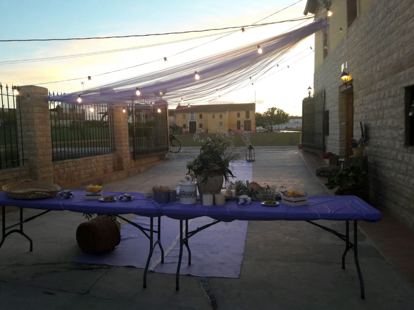 Terraza de la Huerta en Valencia: espacio para eventos, foto 3