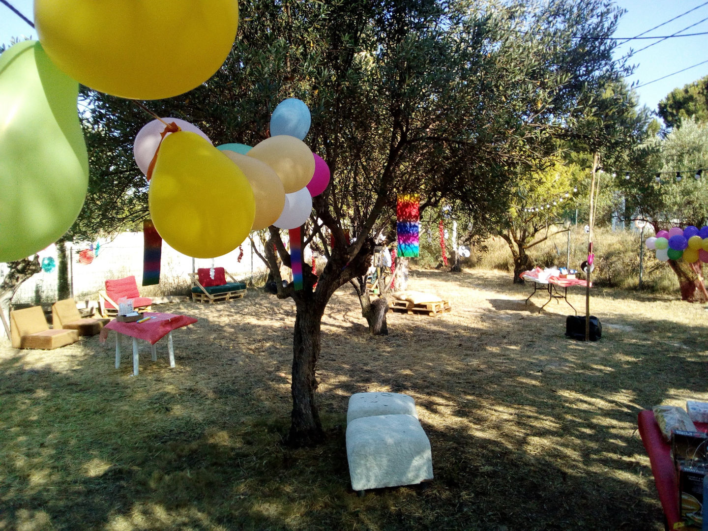 Campe in Cocentaina: space for events, photo 4