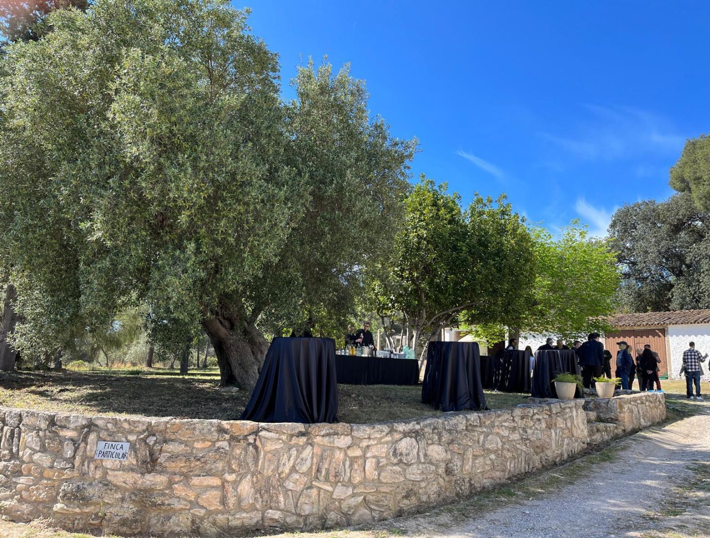 Masía con jardín de olivos en Sant Pere de Ribes - 4