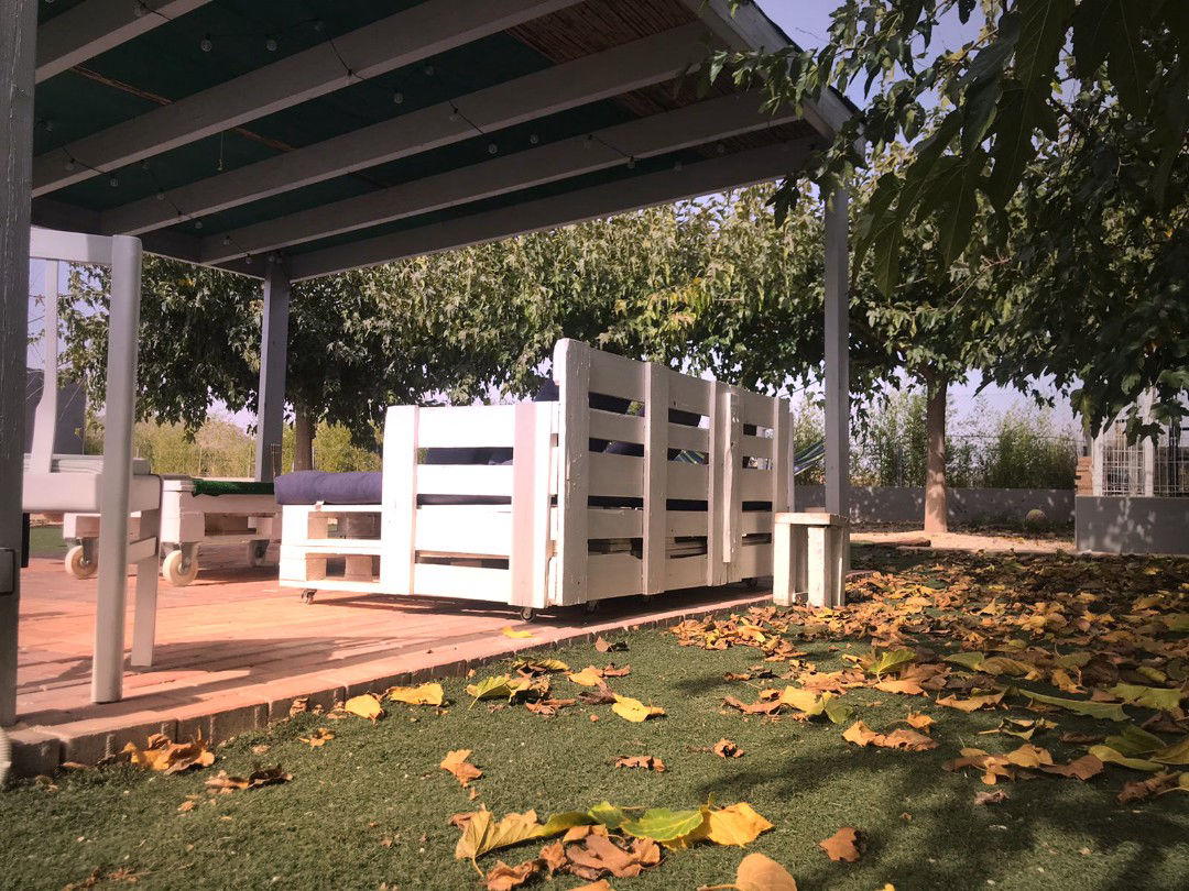 Acogedor Jardín en Casa de Campo Rodeada de Olivos en Biar - 2