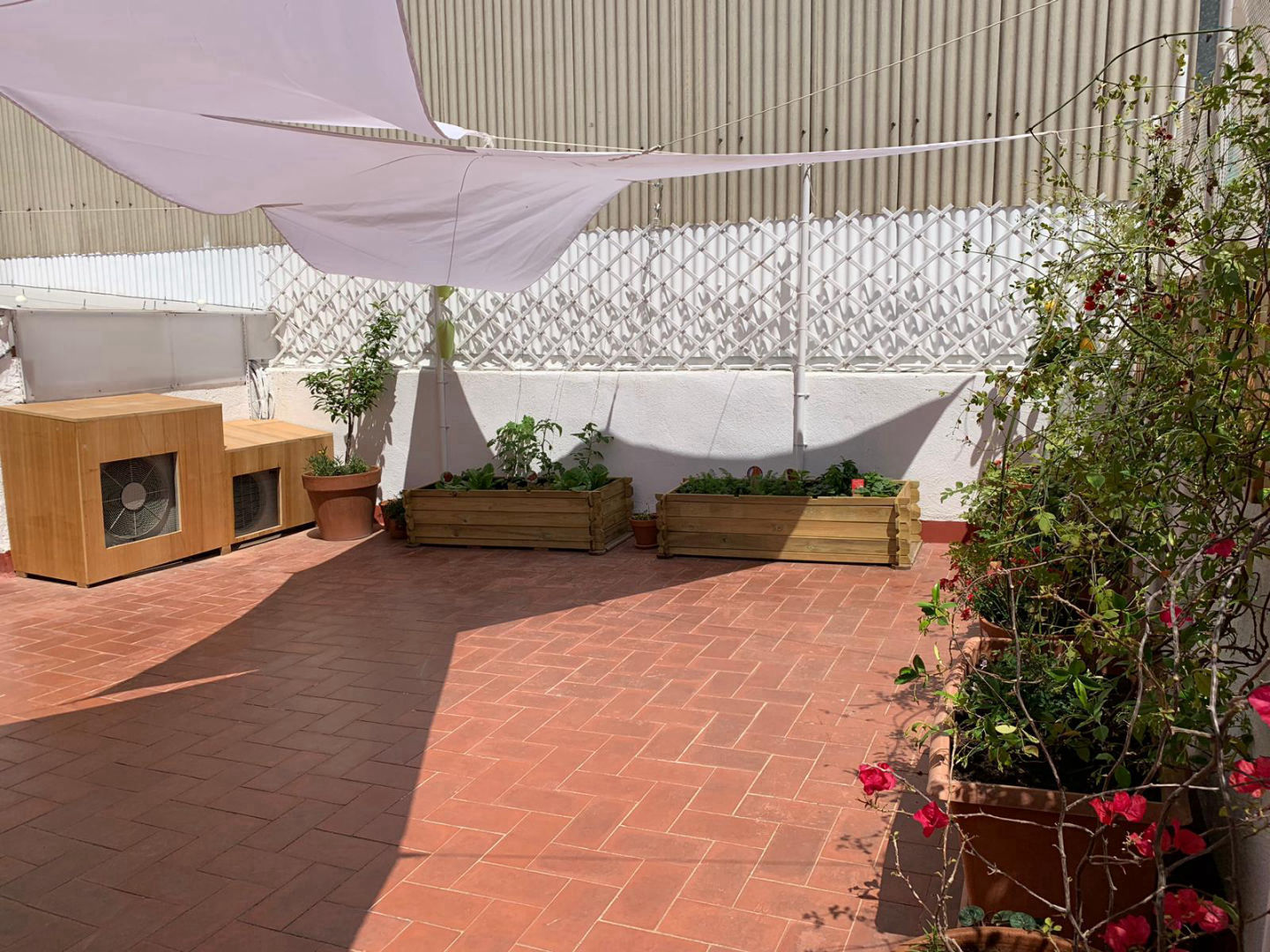 Terraza Mamá Canguro - 2