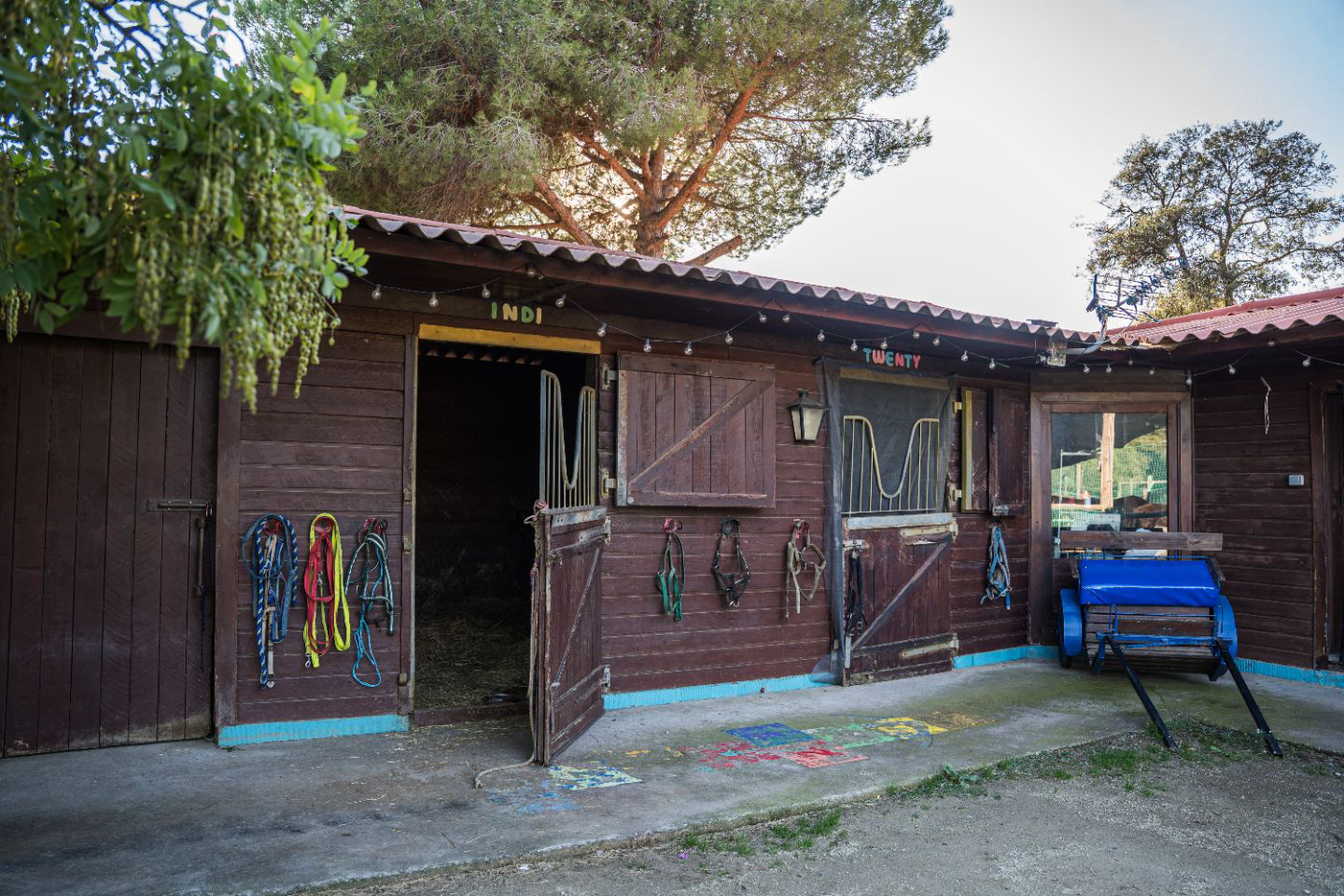 Espacio Natural Maresme - 2