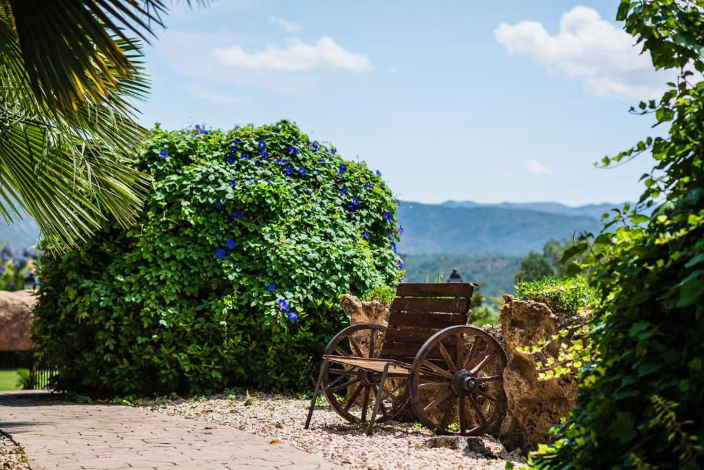 Vergel Tropical - 2
